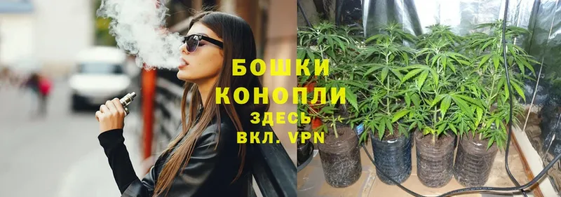 Каннабис Ganja  сколько стоит  Аргун 